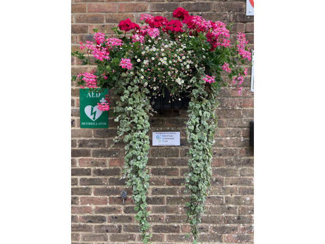 Medstead Village Hall baskets - created and maintained by MGC 2022