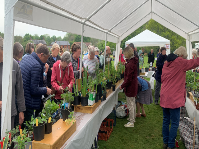 Plant Sale May 2022