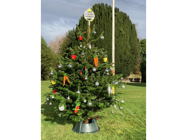Club Christmas tree 2022