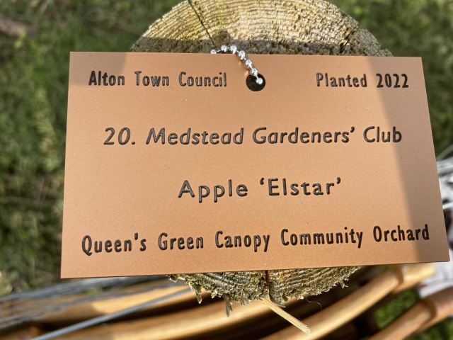 Queen's Green Canopy Community Orchard, Windmill Hill, Alton