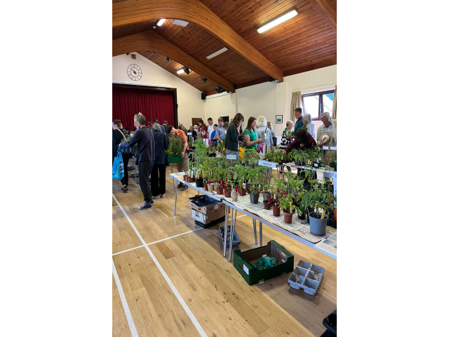 Plant Sale 2025