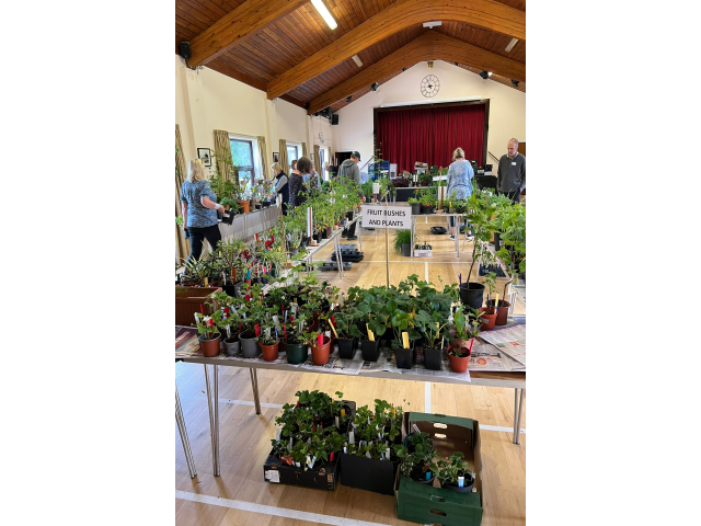 Plant Sale 2025