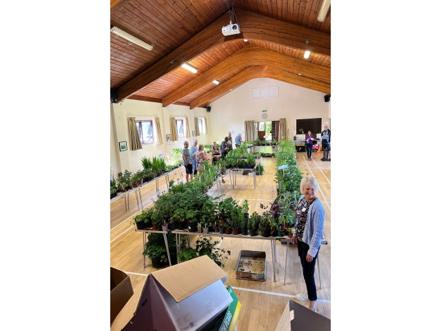 Plant Sale 2025