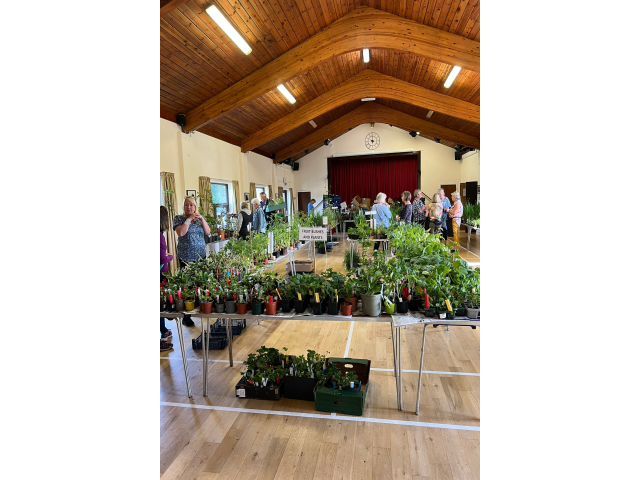 Plant Sale 2025