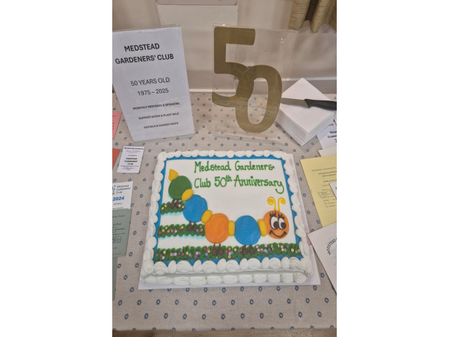 50th Birthday Celebration Cake