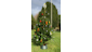 Club Christmas tree 2022