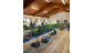 Plant Sale 2025