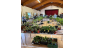 Plant Sale 2025