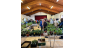 Plant Sale 2025