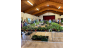 Plant Sale 2025