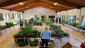 Plant Sale 2025