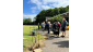 Plant Sale 2025
